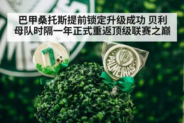 巴甲桑托斯提前锁定升级成功 贝利母队时隔一年正式重返顶级联赛之巅