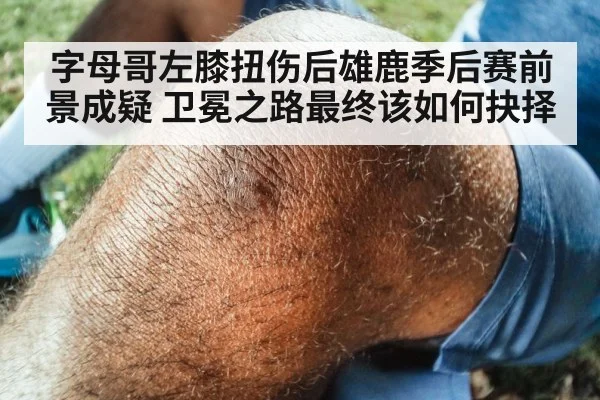 字母哥左膝扭伤后雄鹿季后赛前景成疑 卫冕之路最终该如何抉择